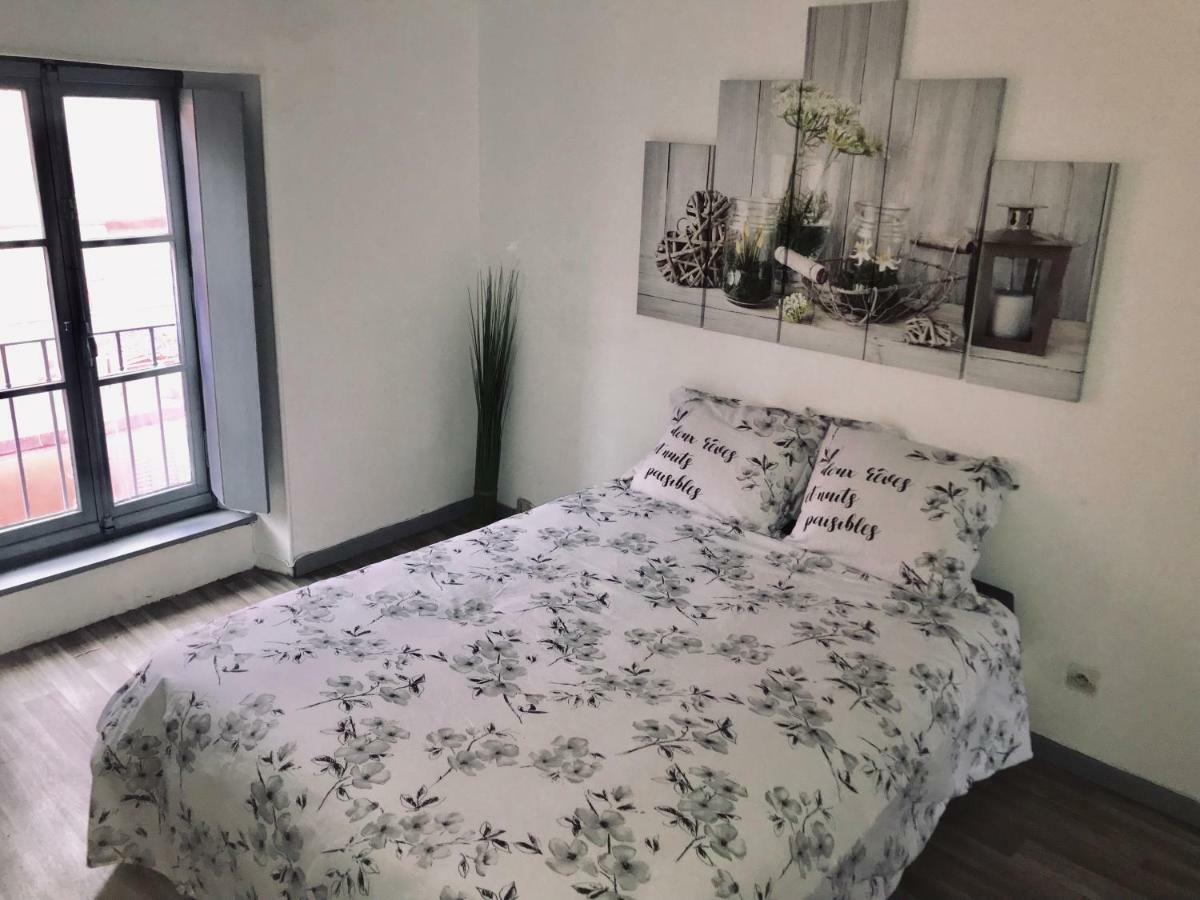 Appartement Proche Cite Medievale 4 Pers Carcassonne Exteriér fotografie